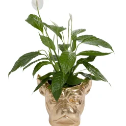 KARE Design Caches Pots|Cachepot Décoratif Bulldog Dore