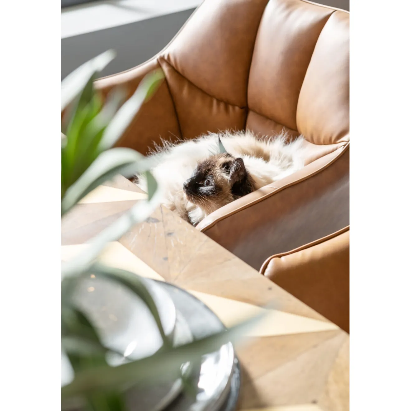 KARE Design Chaises Avec Accoudoirs|Chaise A. Acc. Thinktank Marron