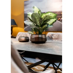 KARE Design Coupes Décoratives|Coupe Décorative Nora Anthracite O21Cm
