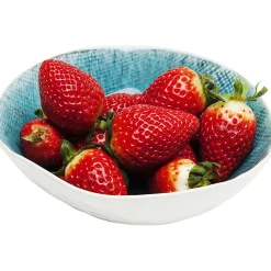 KARE Design Bols|Coupe Mustique O17