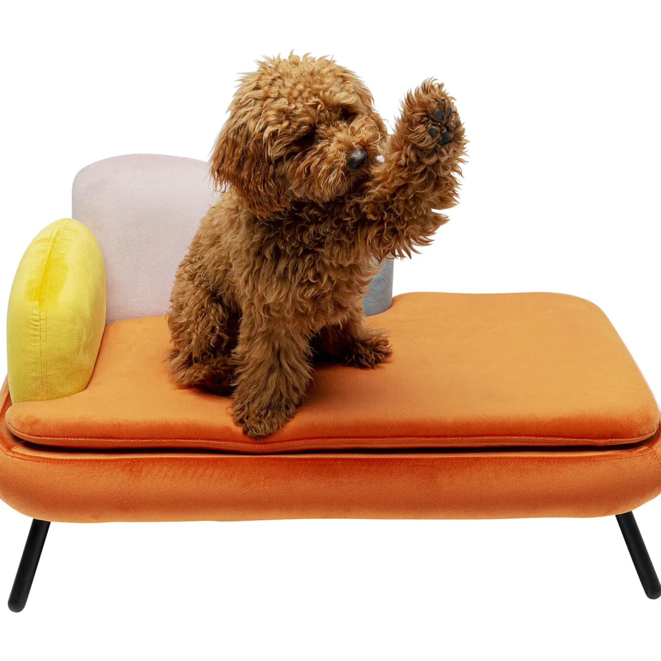 KARE Design Autres Petits Meubles|Lit Pour Chien/Chat Diva Orange