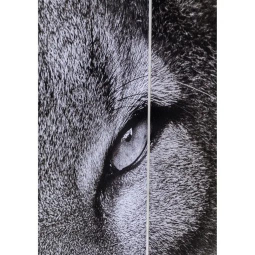 KARE Design Paravents|Paravent King Lion Vs Cat Girl 120X180