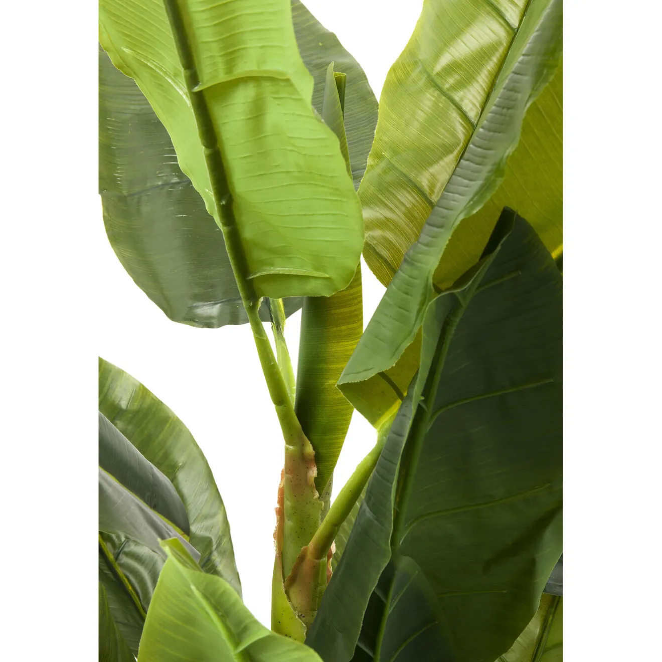 KARE Design Plantes Artificielles|Plante Décorative Banana Tree 180Cm