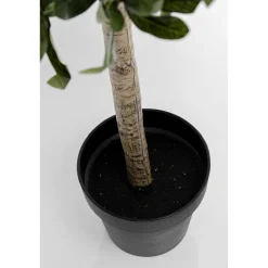 KARE Design Plantes Artificielles|Plante Décorative Olive Tree 120Cm