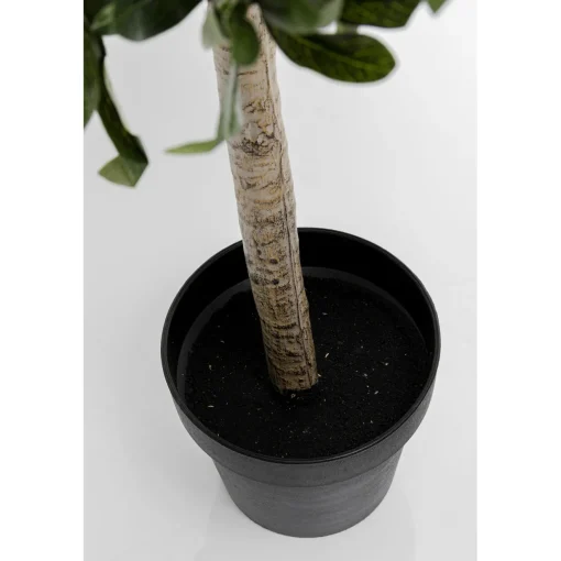 KARE Design Plantes Artificielles|Plante Décorative Olive Tree 120Cm