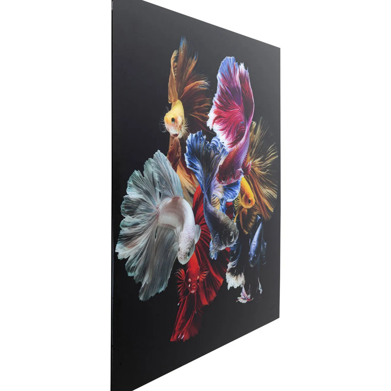 KARE Design Tableaux En Verre|Tableau En Verre Colorful Swarm Fish 120X120Cm