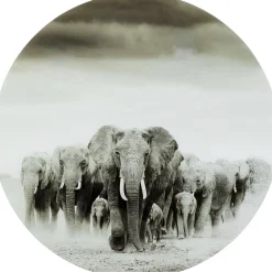 KARE Design Tableaux En Verre|Tableau En Verre Elephant Walk O120Cm