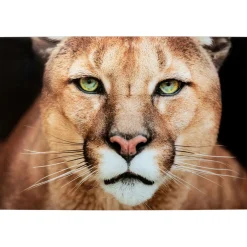 KARE Design Tableaux En Verre|Tableau En Verre Lioness 150X100Cm