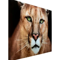 KARE Design Tableaux En Verre|Tableau En Verre Lioness 150X100Cm