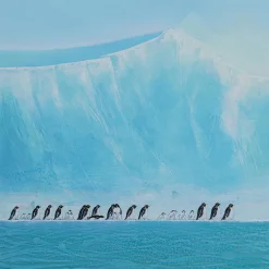 KARE Design Tableaux Encadres|Tableau Encadre Walking Penguins 140X140Cm