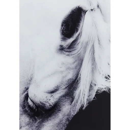 KARE Design Tableaux Encadres|Tableau Frame Alu Proud Horse 100X100Cm